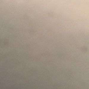 Meet your Posher, Travis